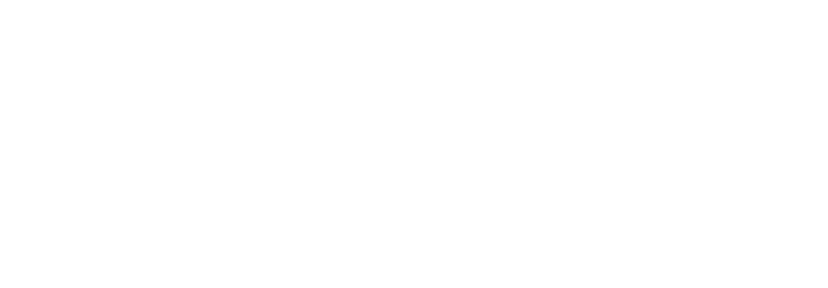 Solaire Future